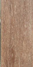CYSPC-007